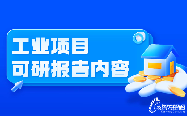 工业项目可研汇报内容.jpg