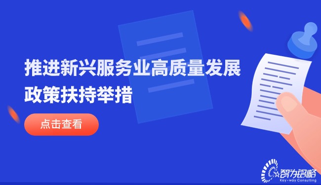 推动新兴服务业高质量发展的政策搀扶行动.jpg
