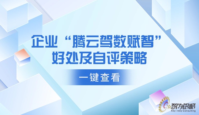 企业“腾云驾数赋智”的益处及自评战术.jpg