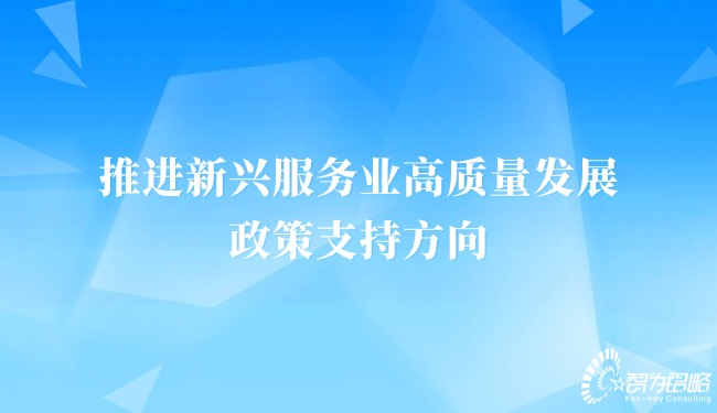 推动新兴服务业高质量发展的政策支持方向.jpg