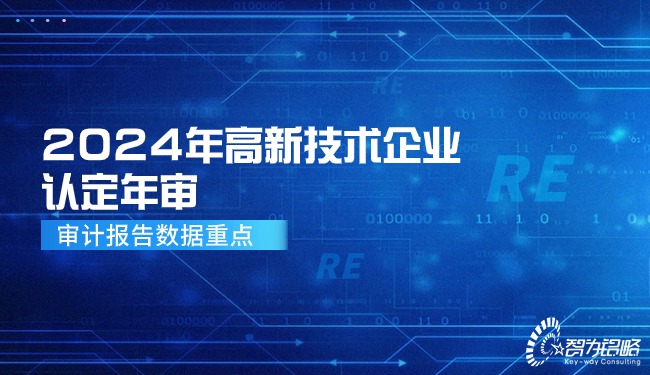 2024年高新技术企业认定年审—审计汇报数据重点.jpg