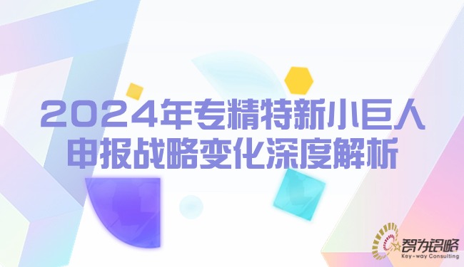 2024年专精特新小巨人申报战术变动深度解析.jpg
