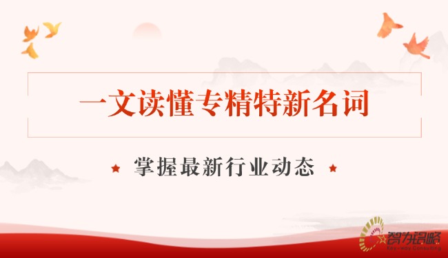 一文读懂专精特新名词，，，把握*新行业动态.jpg