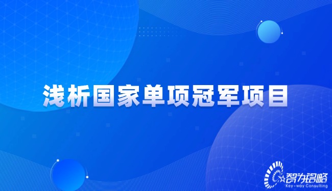 浅析国度单项**项目.jpg
