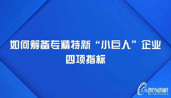 若何筹备专精特新“小巨人”企业四项指标.jpg