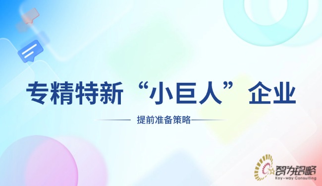 专精特新“小巨人”企业提前筹备战术.jpg