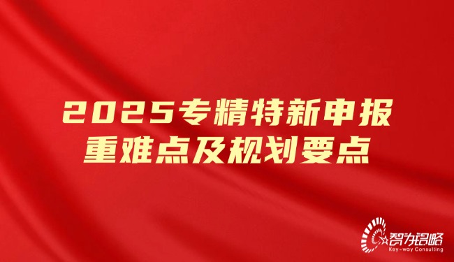 2025专精特新申报重难点及规划重点.jpg