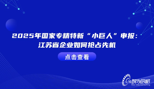 2025年国度专精特新“小巨人”申报：江苏省企业若何抢占先机.jpg