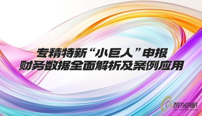 专精特新“小巨人”申报财政数据全面解析及案例利用.jpg