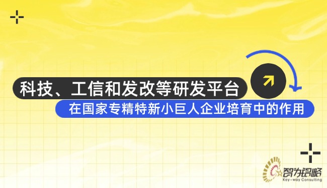 科技、工信和发改等研发平台在国度专精特新小巨人企业造就中的作用.jpg