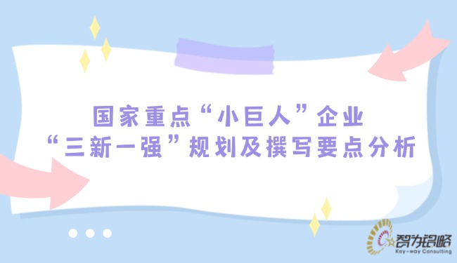 国度重点“小巨人”企业“三新一强”规划及撰写重点分析.jpg