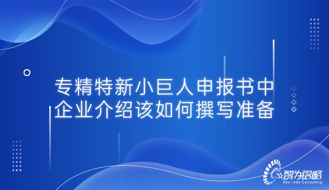 专精特新小巨人申报书中的企业介绍该若何撰写筹备.jpg