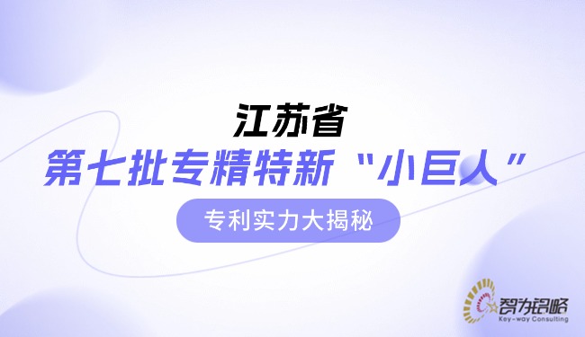 江苏省第七批专精特新“小巨人”专利实力大揭秘.jpg