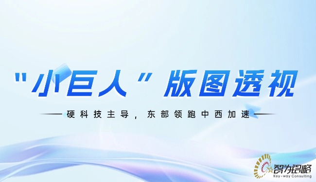 “小巨人”疆域透视：：硬科技主导，，东部领跑中西加快.jpg