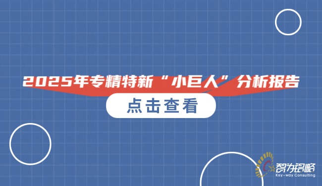 2025年专精特新“小巨人”分析汇报.jpg