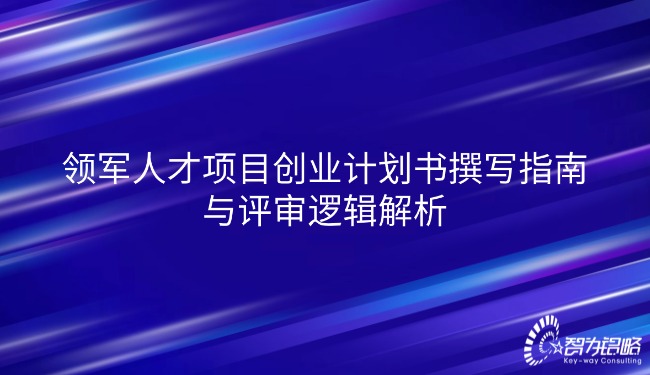 领武士才项目创业打算书撰写指南与评审逻辑解析.jpg