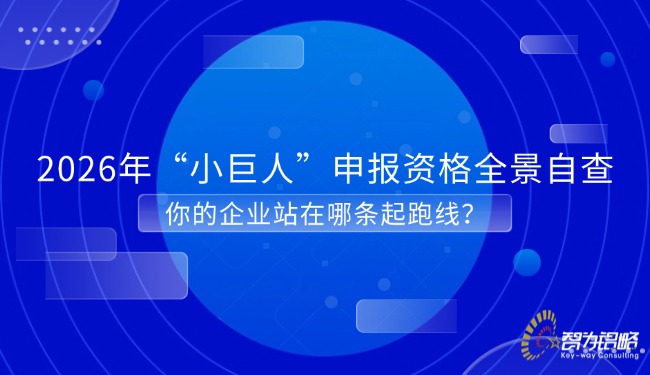 轻透几何风微信公家号首图(24).jpg